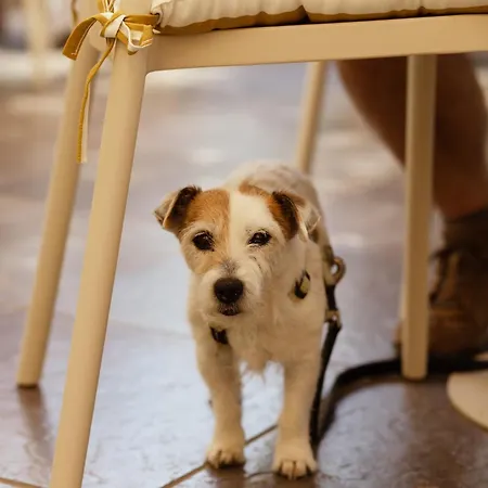 Lavita Camp - Villasimius * Capitana